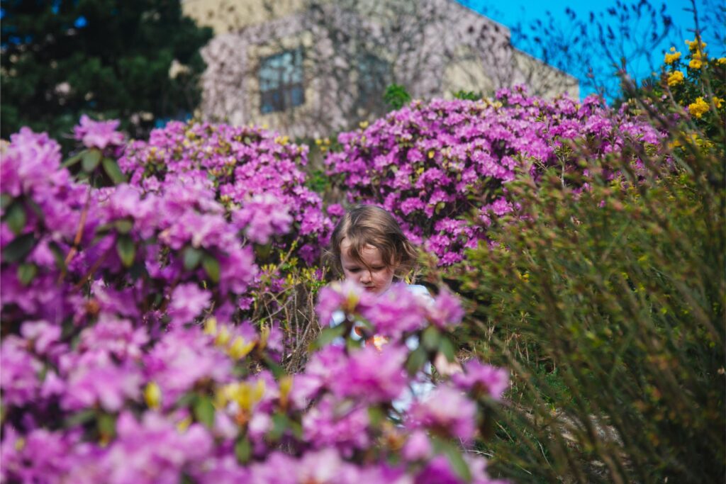 2025 - Bellingham Trip 34