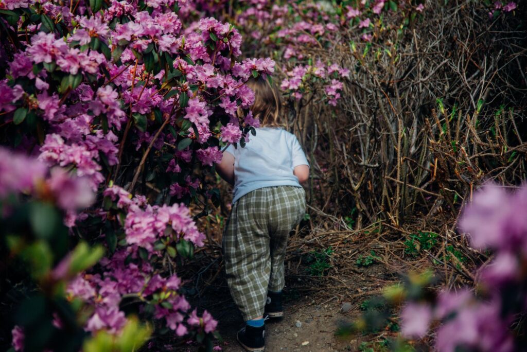 2025 - Bellingham Trip 35