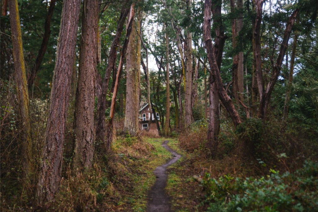 2025 - Late Winter/Early Spring In Port Townsend 5