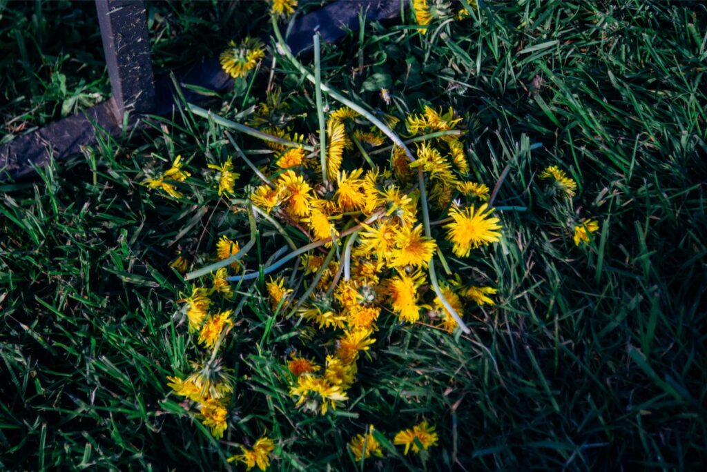 2025 - April Marrowstone 9