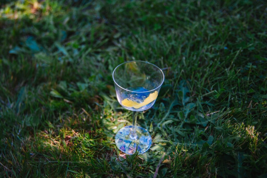 2025 - Sunny Yard Days 4