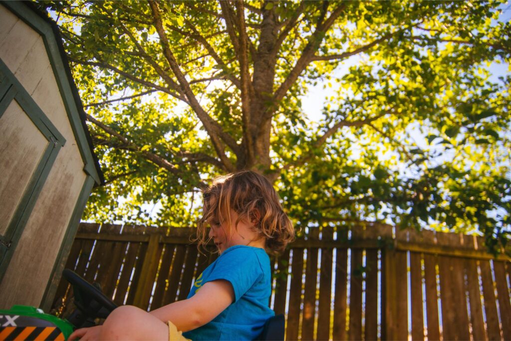 2025 - Sunny Yard Days 8