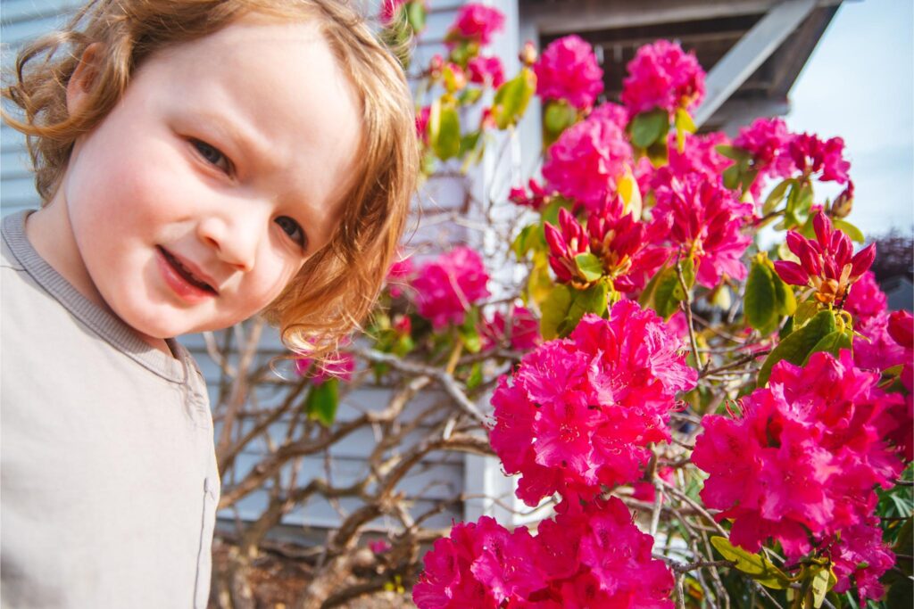 2025 - Spring Flowers 4