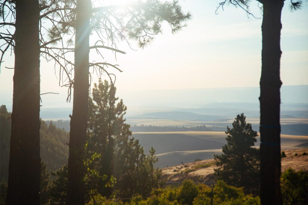 2025 - Lewiston Idaho Family Reunion