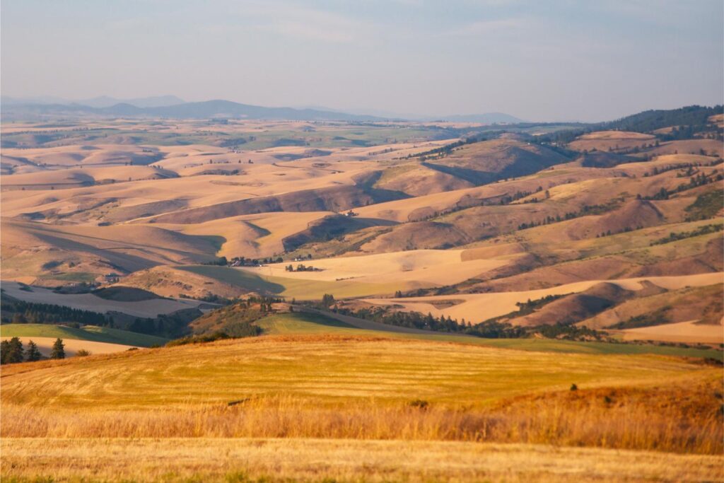 2025 - Lewiston Idaho Family Reunion 3