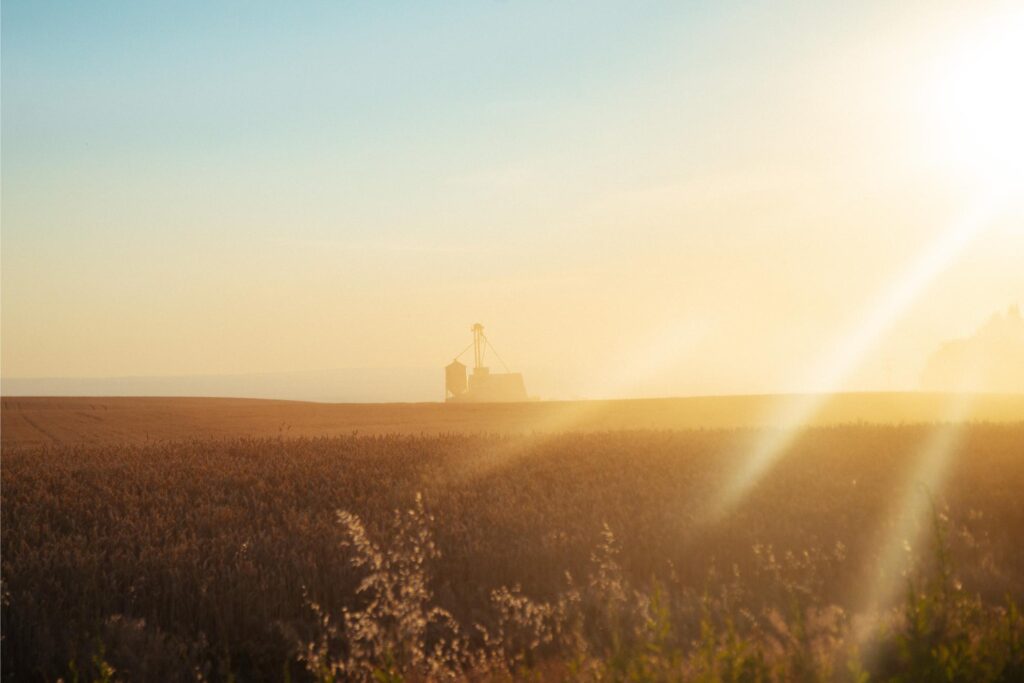 2025 - Lewiston Idaho Family Reunion 6