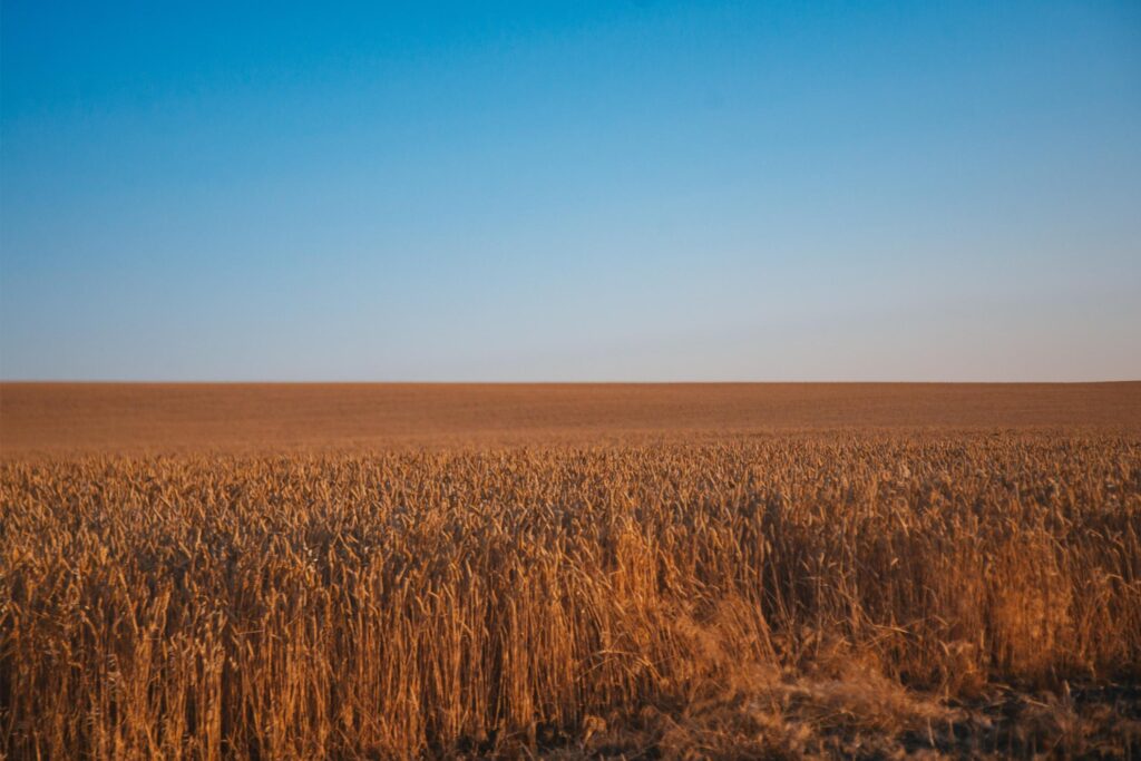 2025 - Lewiston Idaho Family Reunion 8