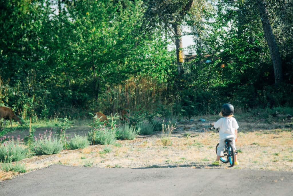 2025 - August Birthday Bike 9