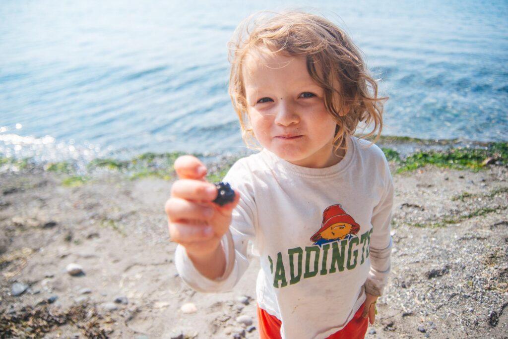 2025 - Cape George Beach and Blackberries 7