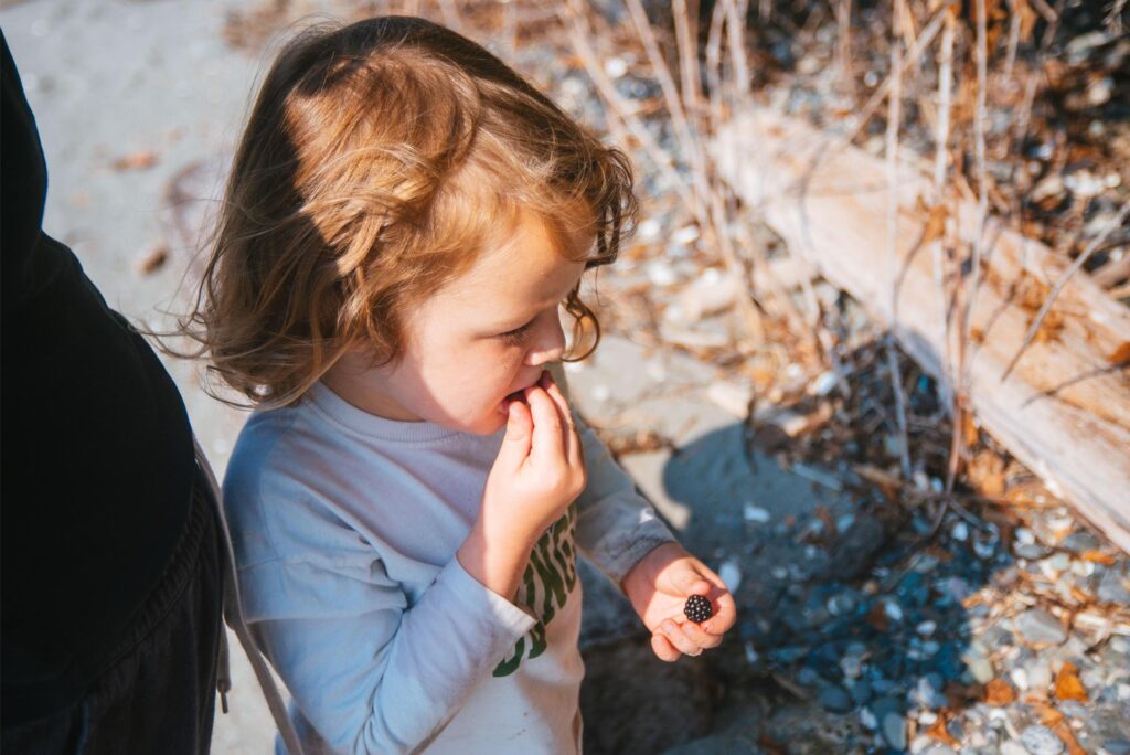 2025 - Cape George Beach and Blackberries 10
