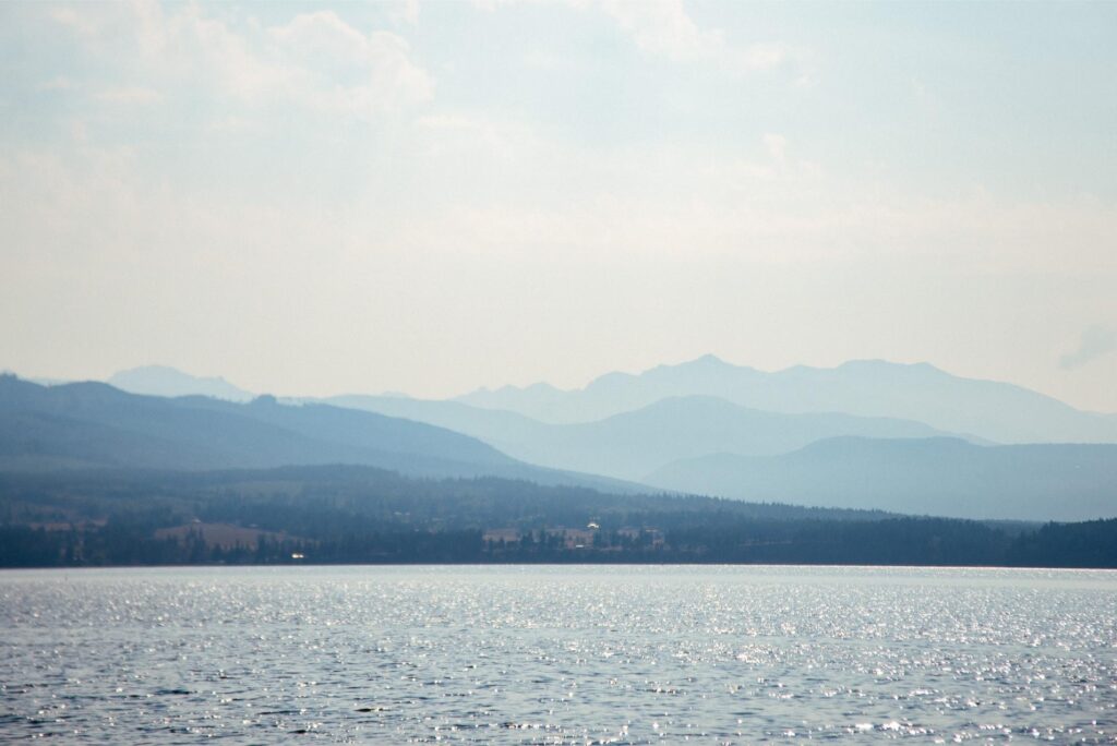 2025 - Cape George Beach and Blackberries 11