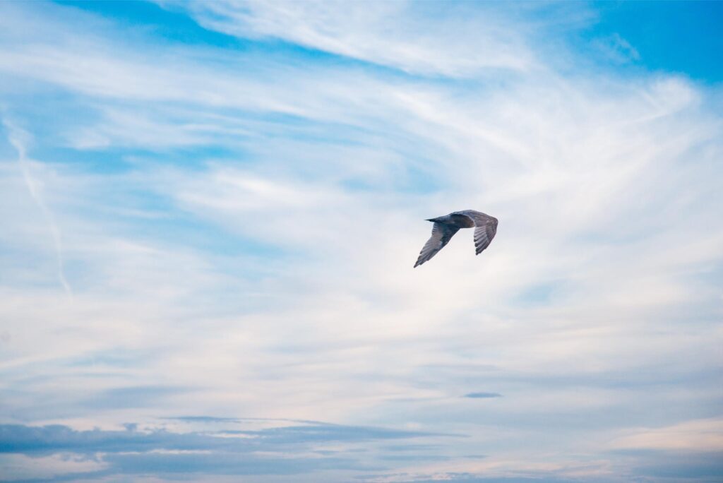 25 - September Edmonds Kingston Ferry 13