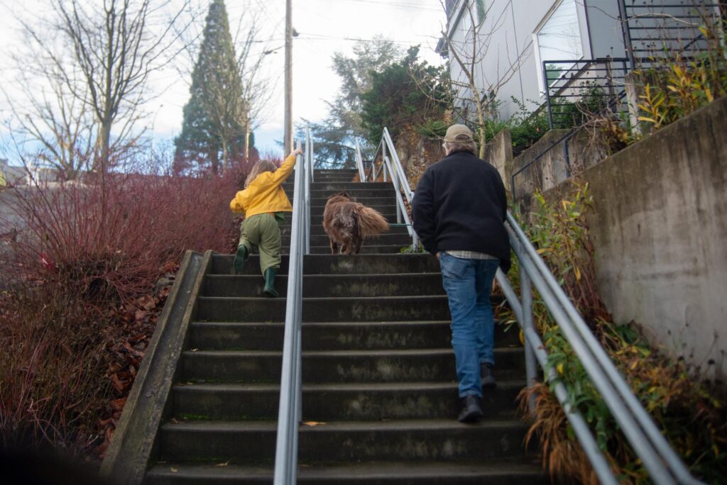 2025 - Seattle Playgrounds