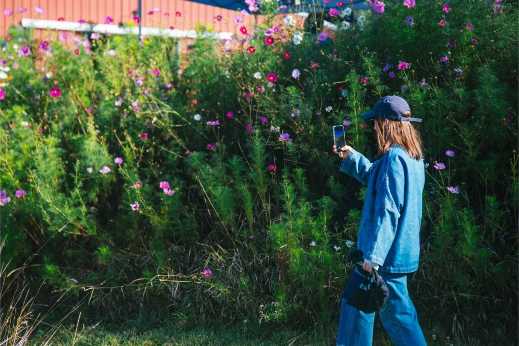 2025 - White Lotus Farms Pumpkin Patch 13