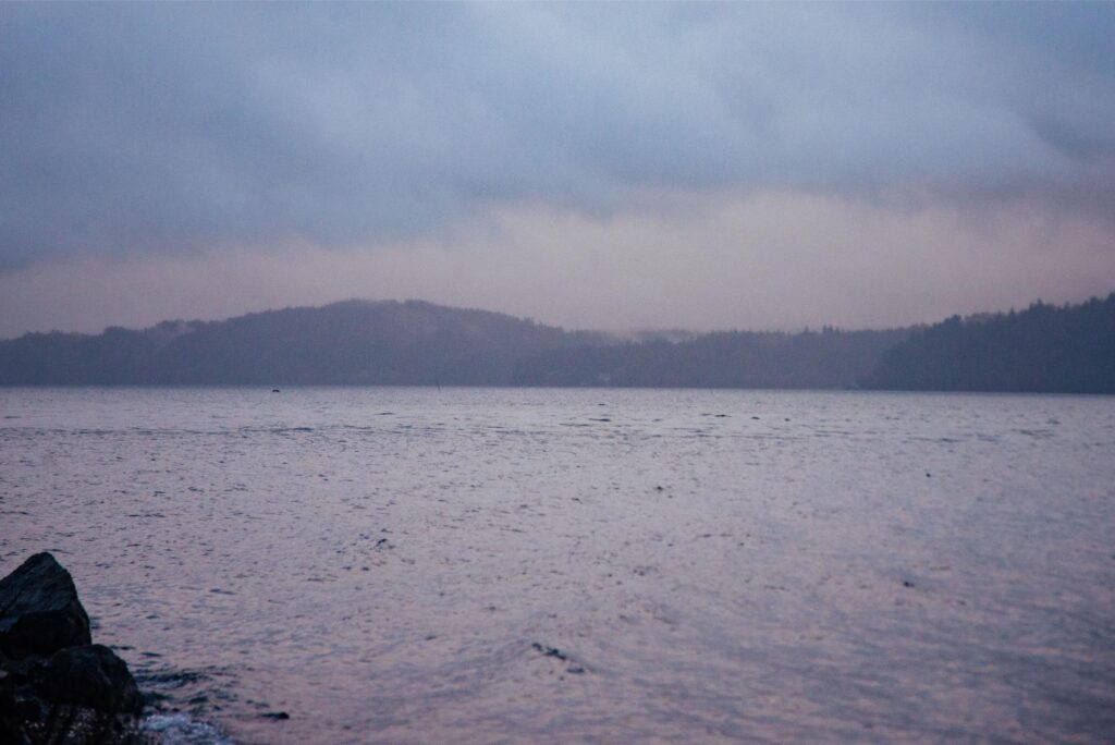 2025 - Hama Hama Oysters 8