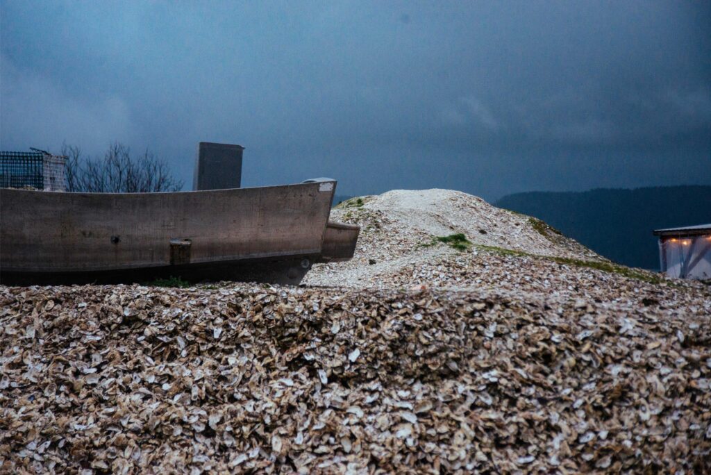 2025 - Hama Hama Oysters 11