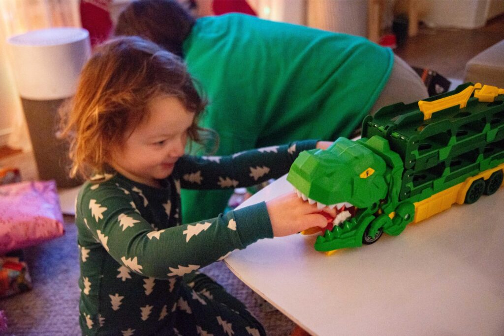 2025 - Port Townsend Christmas 4