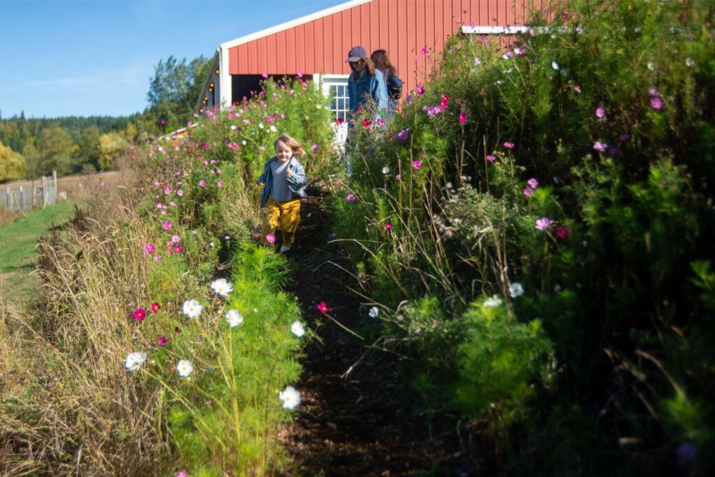 2025 - White Lotus Farms Pumpkin Patch 17