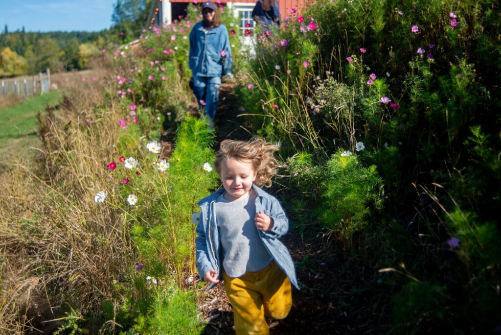 2025 - White Lotus Farms Pumpkin Patch 19