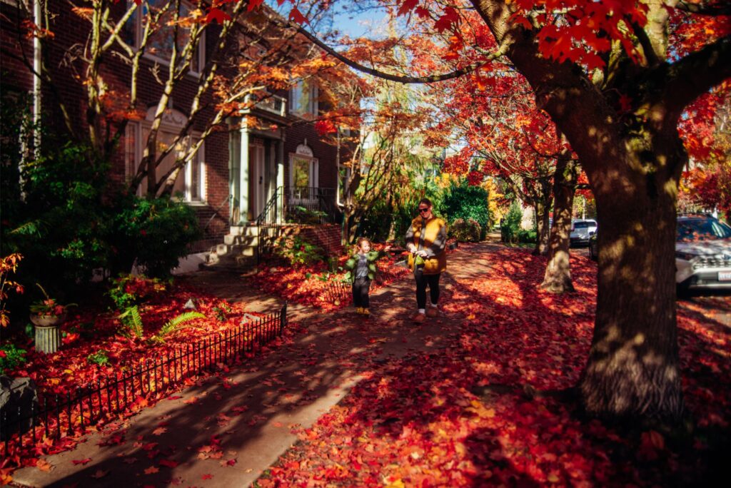 2025 - November Seattle Trip 12