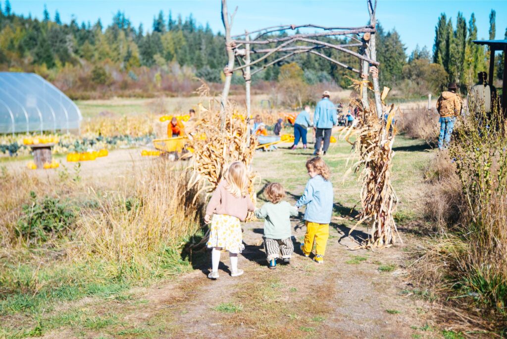 2025 - White Lotus Farms Pumpkin Patch 6