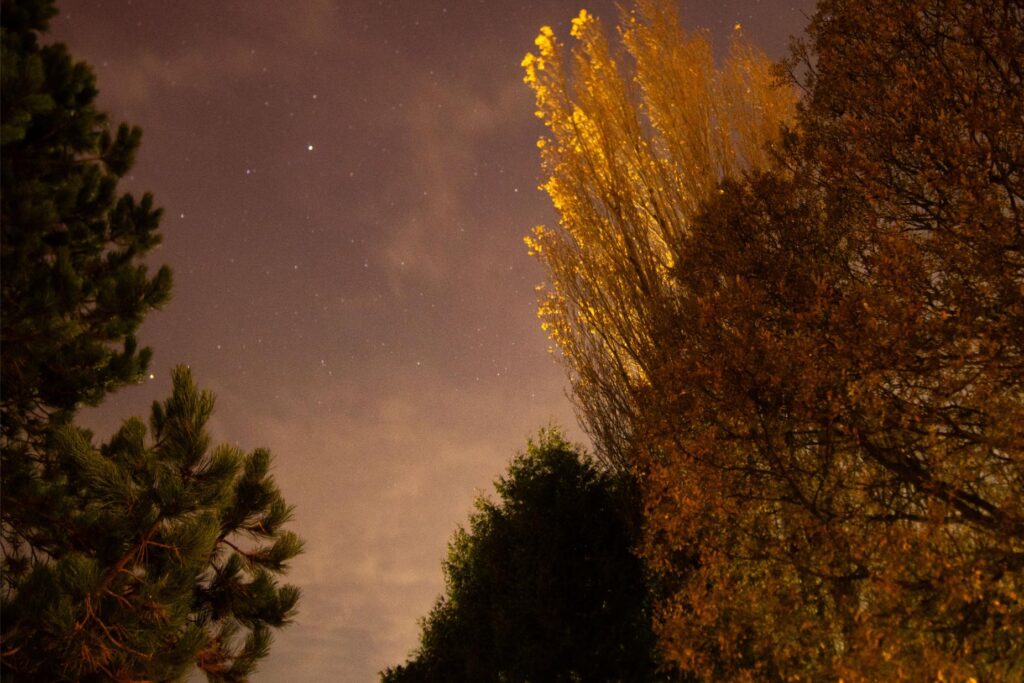 2025 - November Port Townsend Northern Lights 6