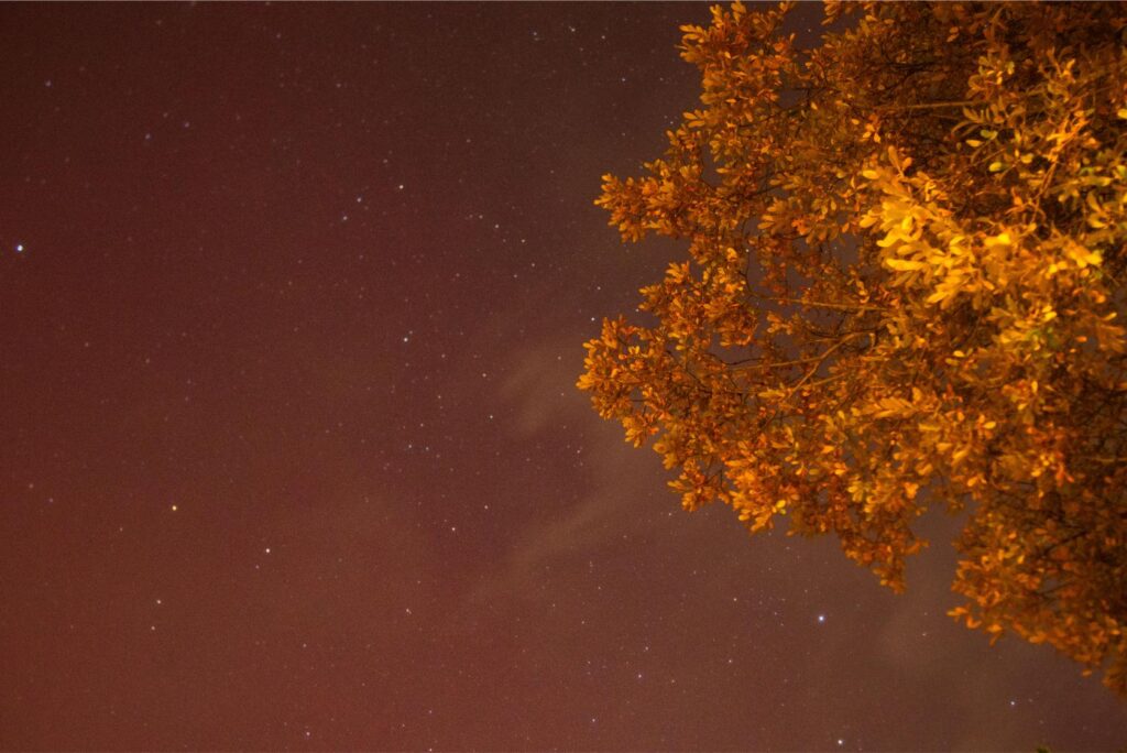 2025 - November Port Townsend Northern Lights 9