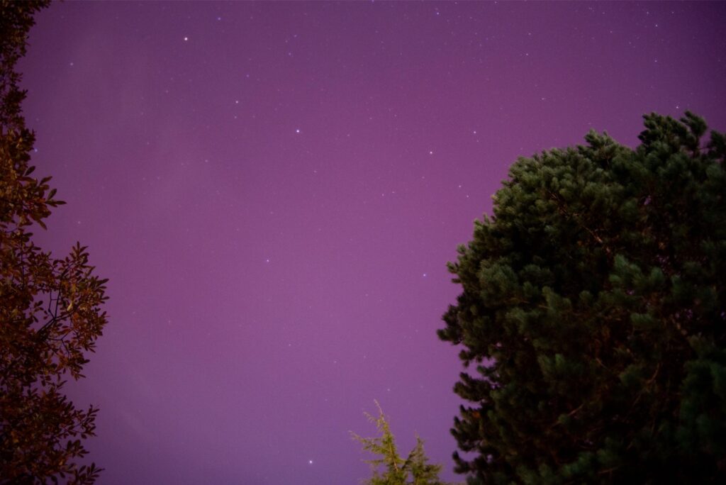 2025 - November Port Townsend Northern Lights 13