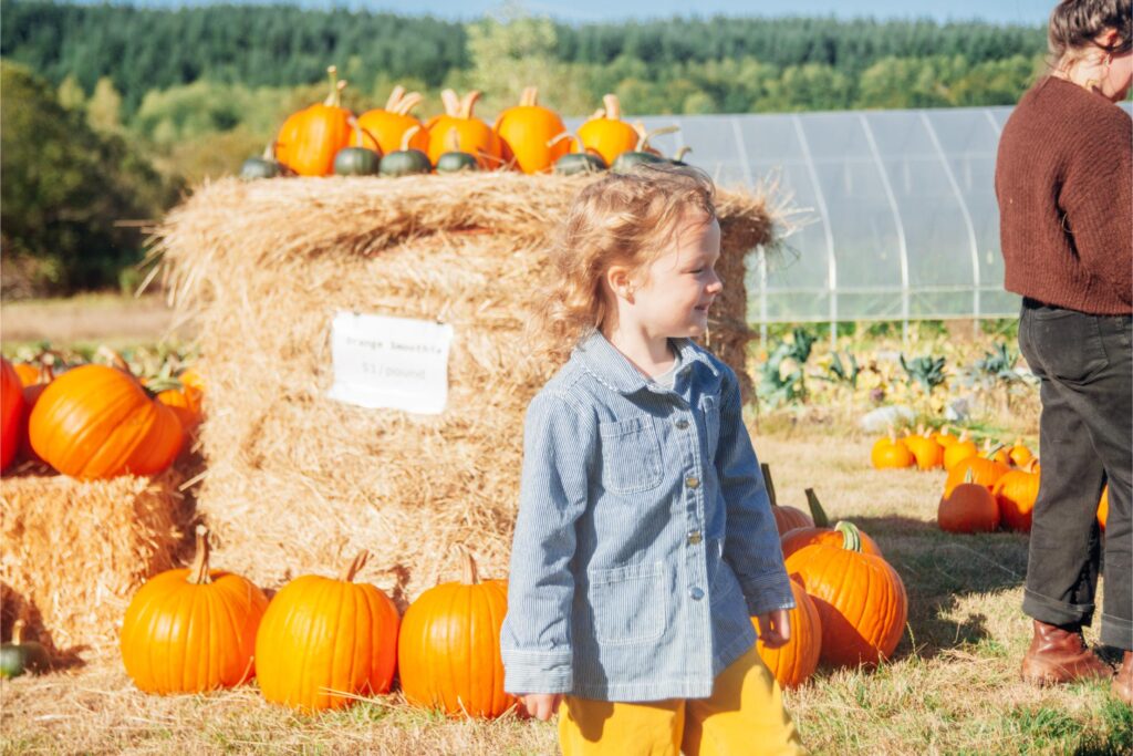 2025 - White Lotus Farms Pumpkin Patch 8