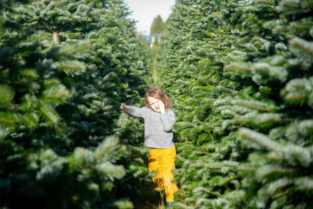 2025 - Port Angeles Christmas Tree Farm 2